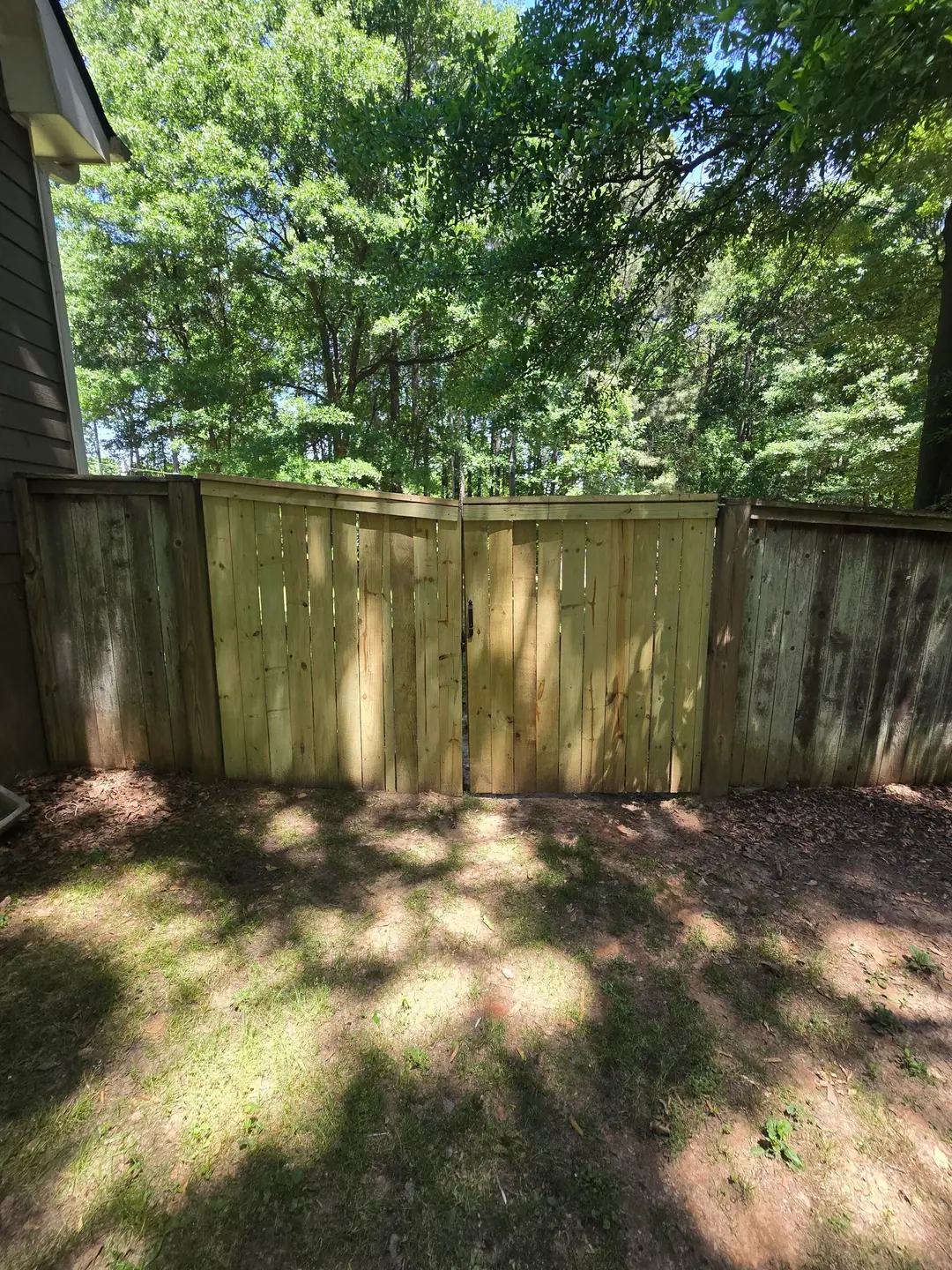 Fresh pine double gate set into an older gray wood fence line